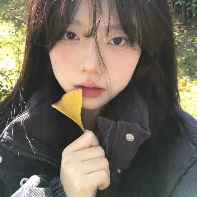 视觉侦探日暮旅人